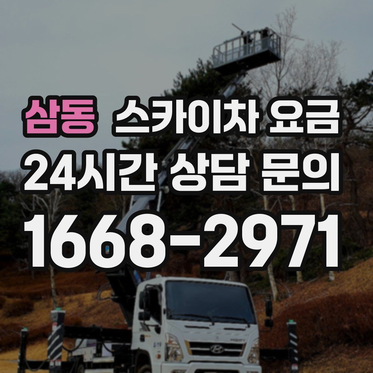 삼동 스카이차 요금