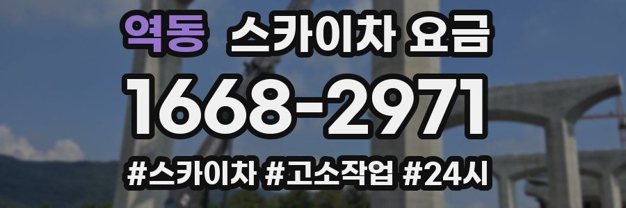 역동 스카이차 요금
