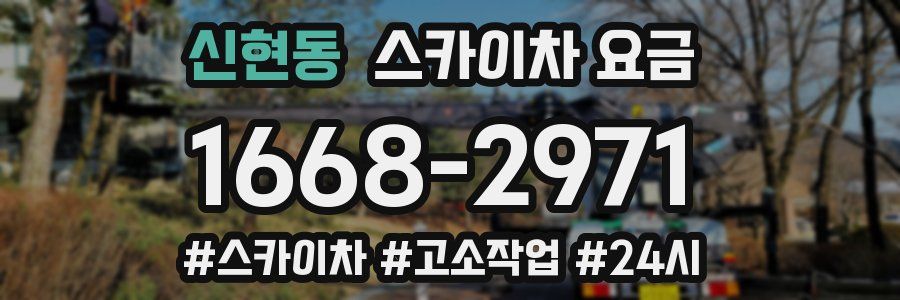 신현동 스카이차 요금