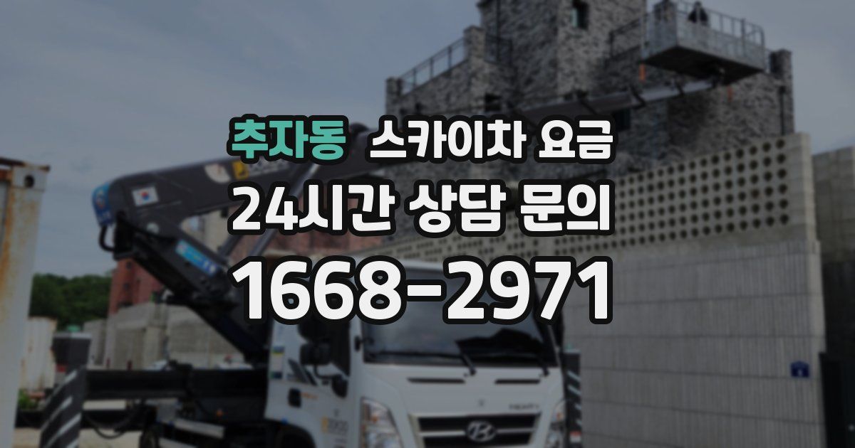 추자동 스카이차 요금