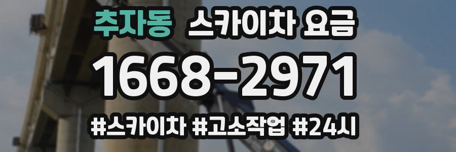 추자동 스카이차 요금
