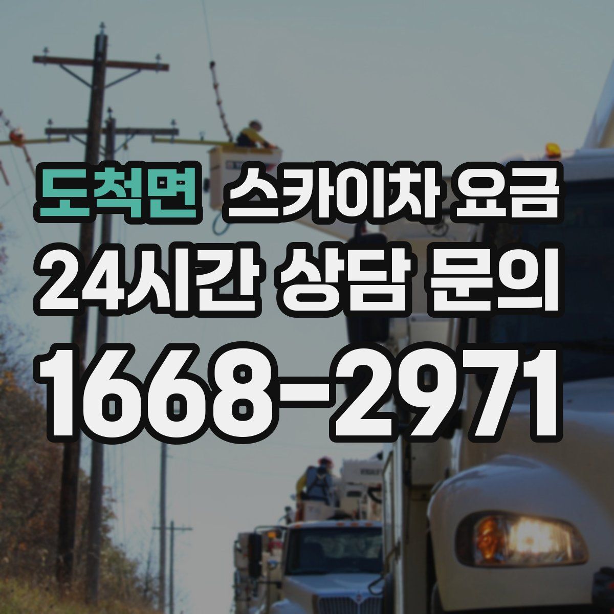 도척면 스카이차 요금