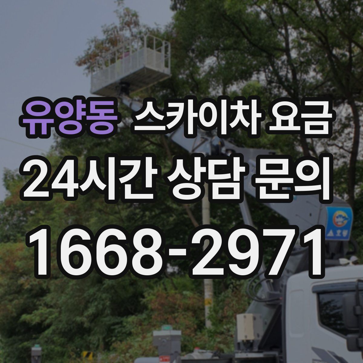 유양동 스카이차 요금