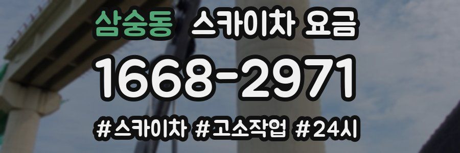 삼숭동 스카이차 요금