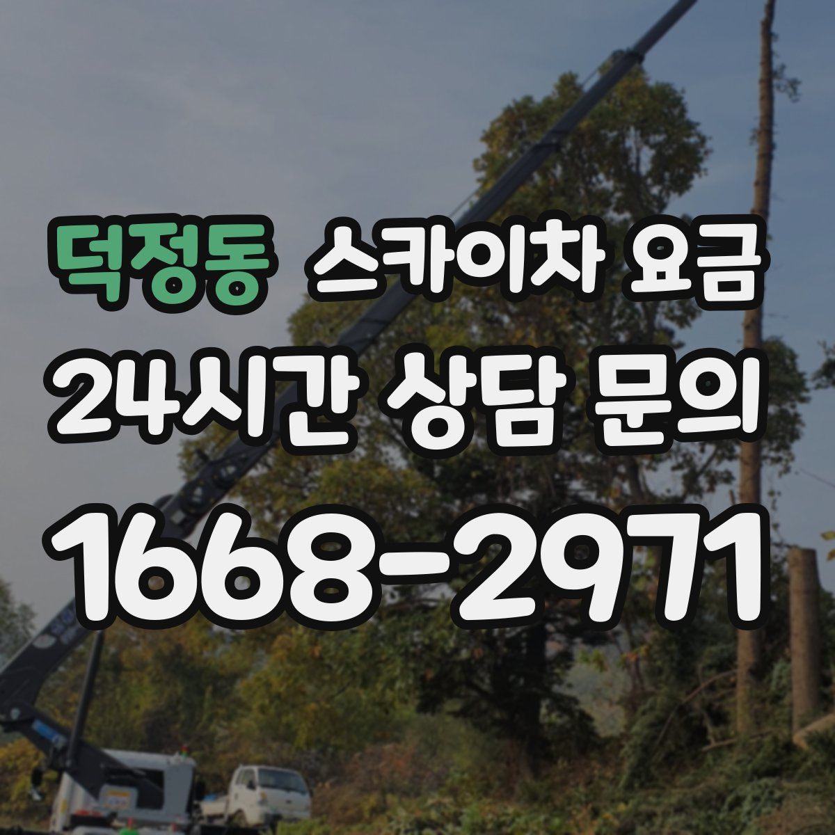 덕정동 스카이차 요금