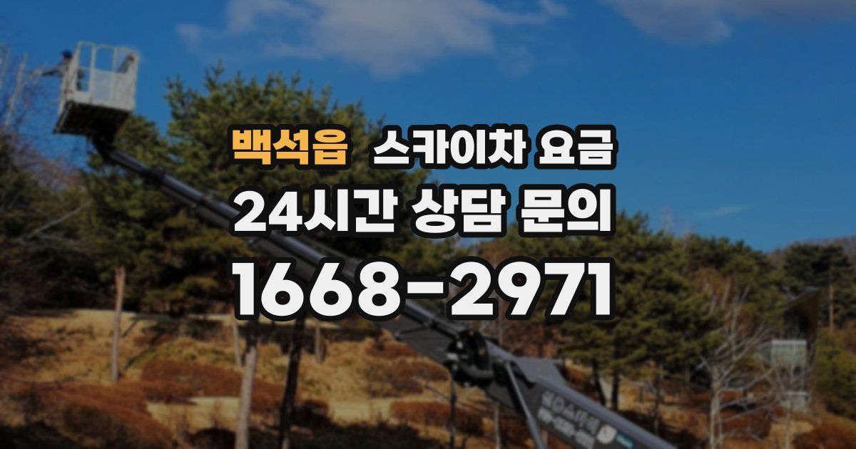 백석읍 스카이차 요금