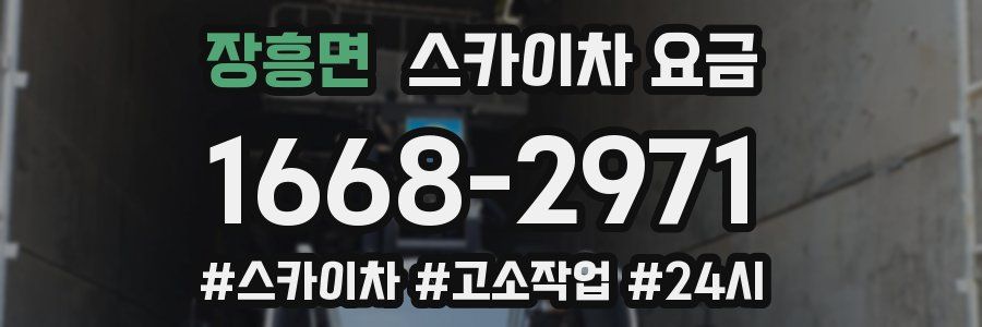 장흥면 스카이차 요금