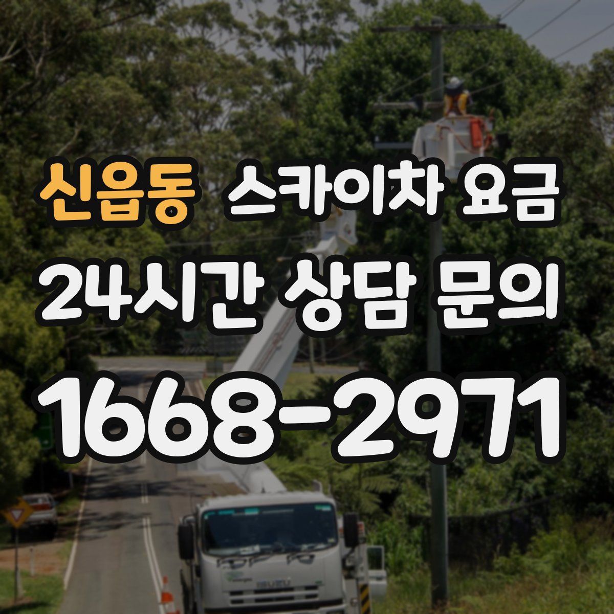 신읍동 스카이차 요금