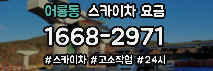 어룡동 스카이차 요금