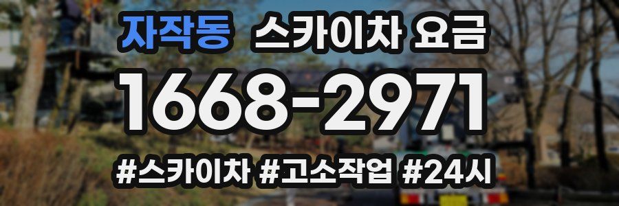 자작동 스카이차 요금