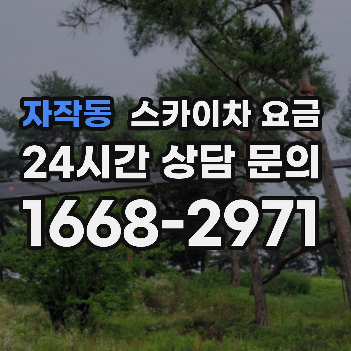자작동 스카이차 요금