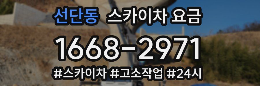선단동 스카이차 요금