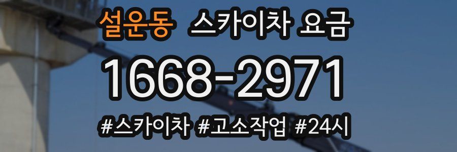 설운동 스카이차 요금