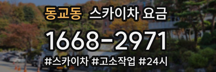 동교동 스카이차 요금