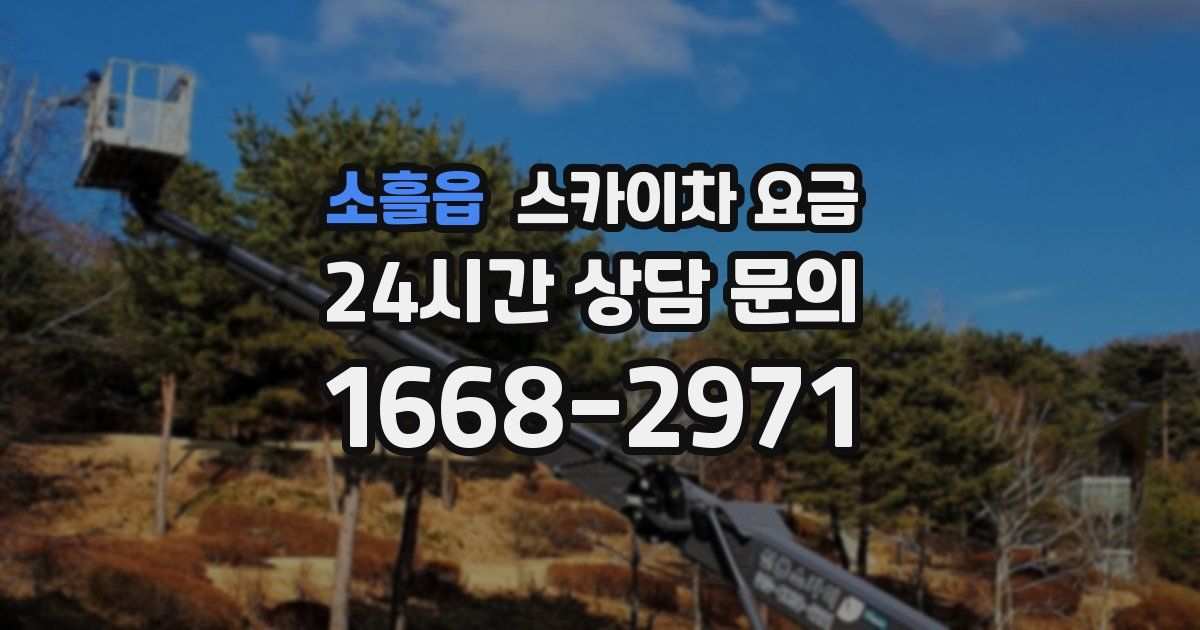 소흘읍 스카이차 요금