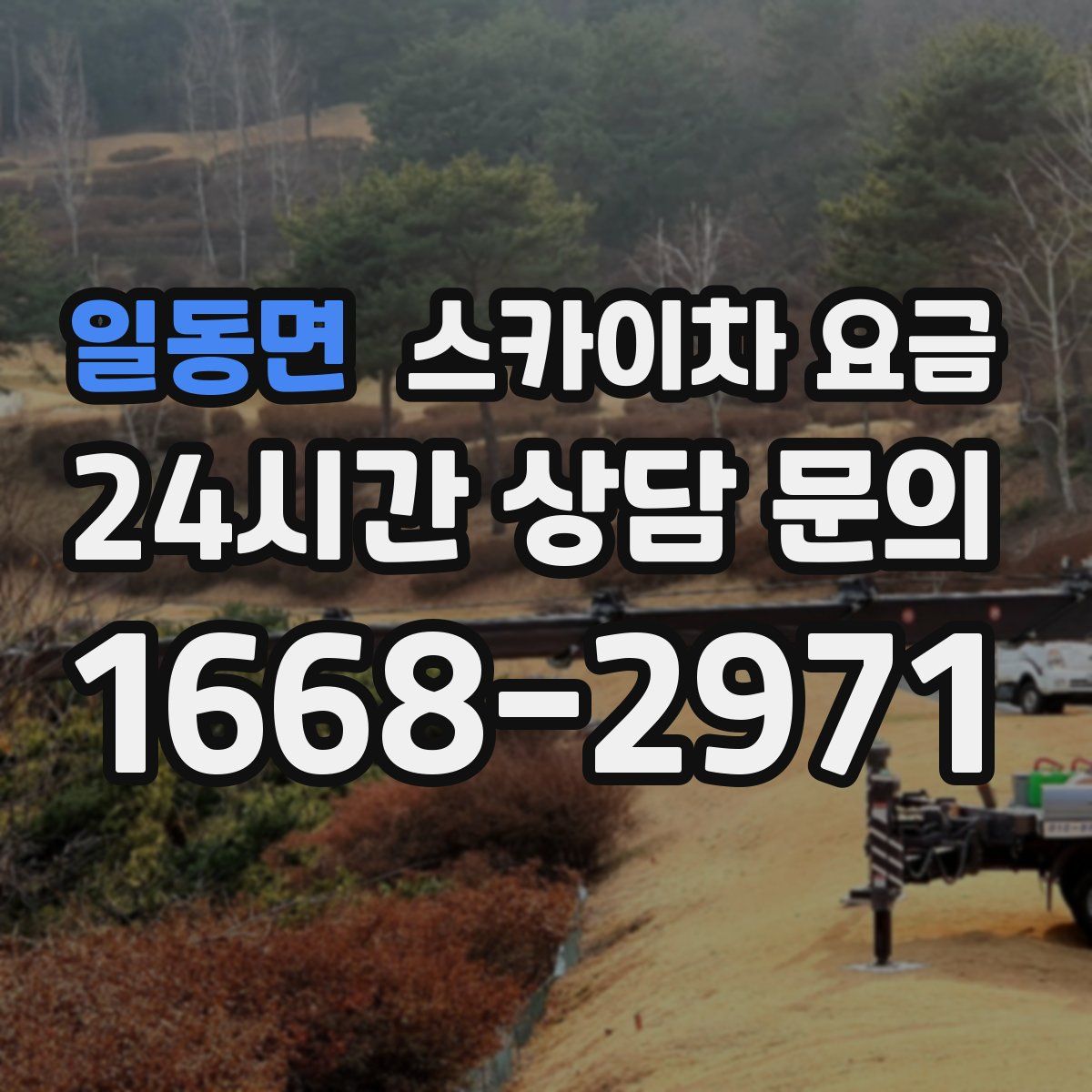 일동면 스카이차 요금