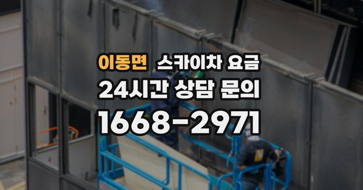 이동면 스카이차 요금