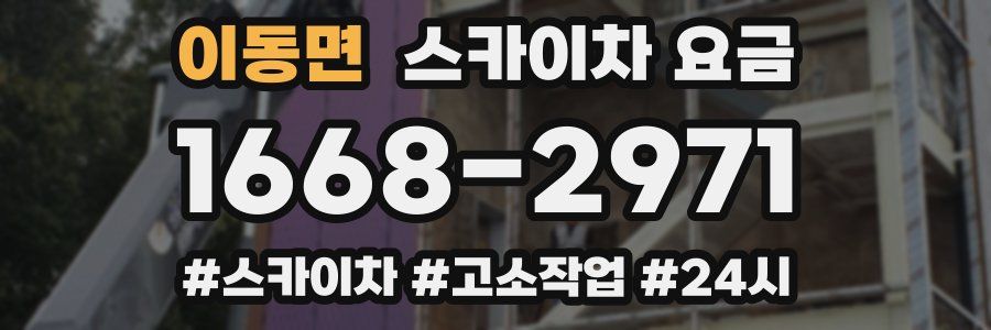 이동면 스카이차 요금