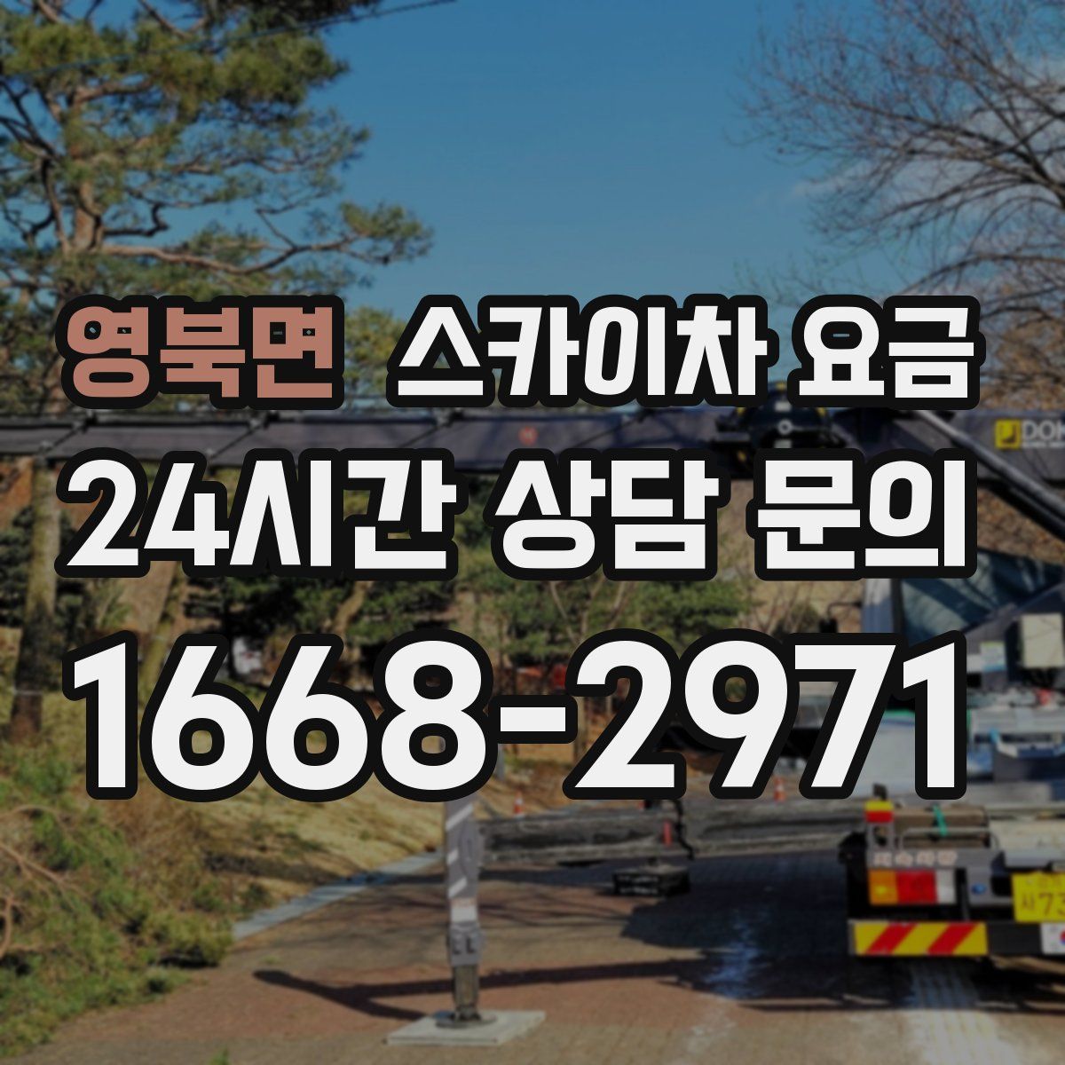 영북면 스카이차 요금