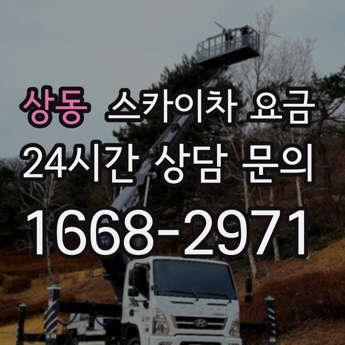 상동 스카이차 요금