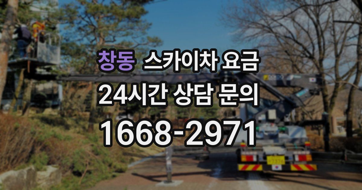 창동 스카이차 요금