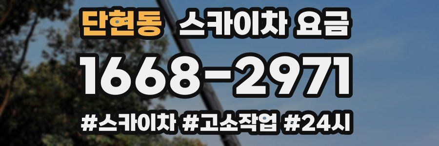 단현동 스카이차 요금