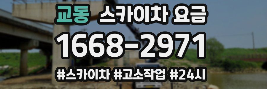 교동 스카이차 요금