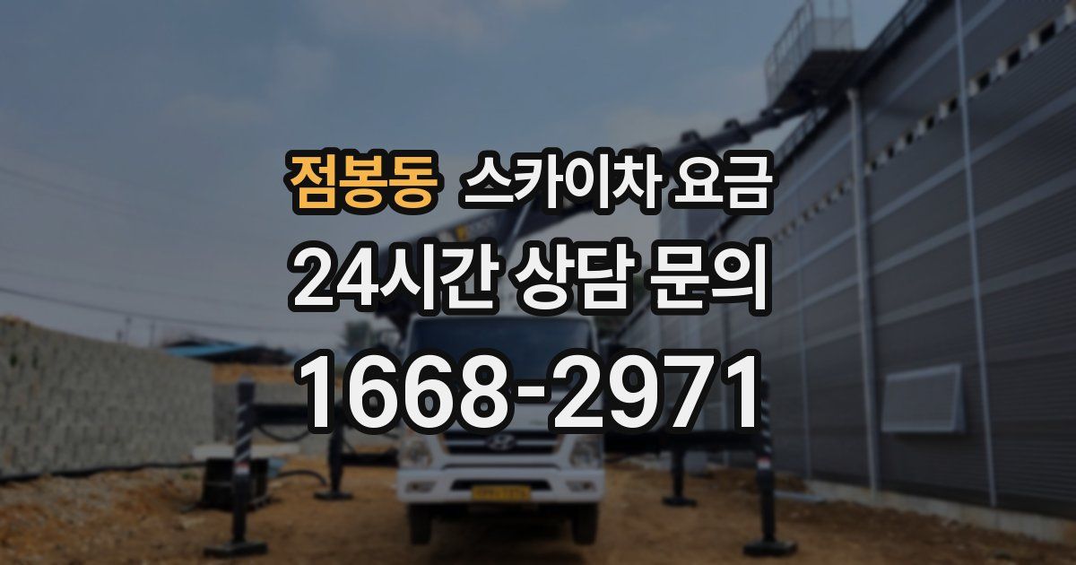 점봉동 스카이차 요금