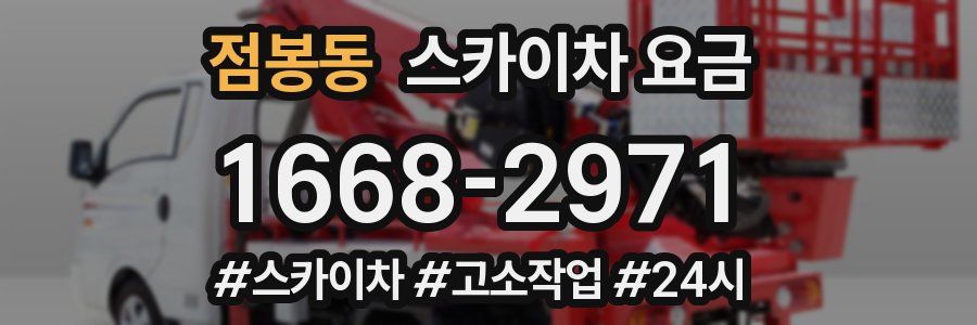 점봉동 스카이차 요금