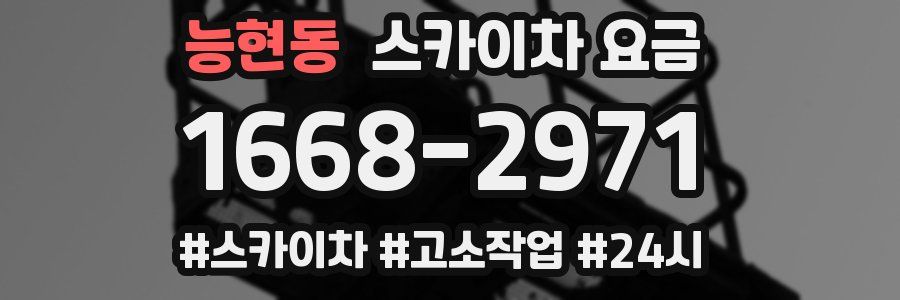 능현동 스카이차 요금