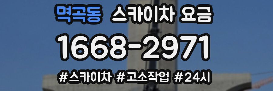 멱곡동 스카이차 요금