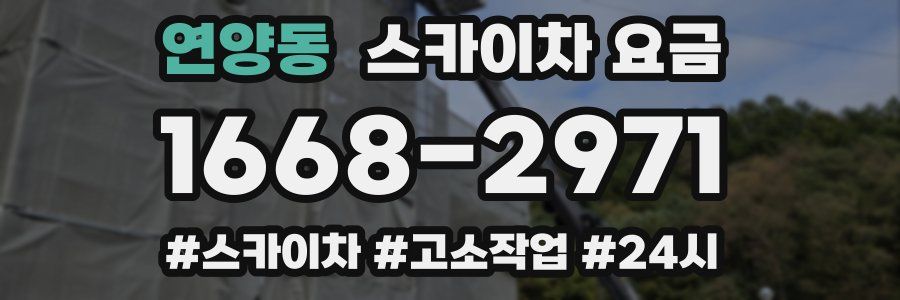 연양동 스카이차 요금