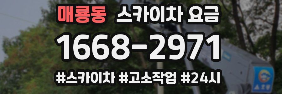 매룡동 스카이차 요금