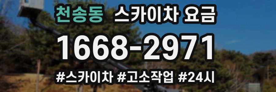 천송동 스카이차 요금
