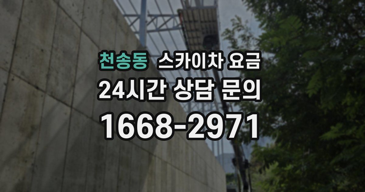 천송동 스카이차 요금