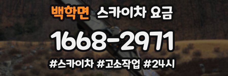 백학면 스카이차 요금
