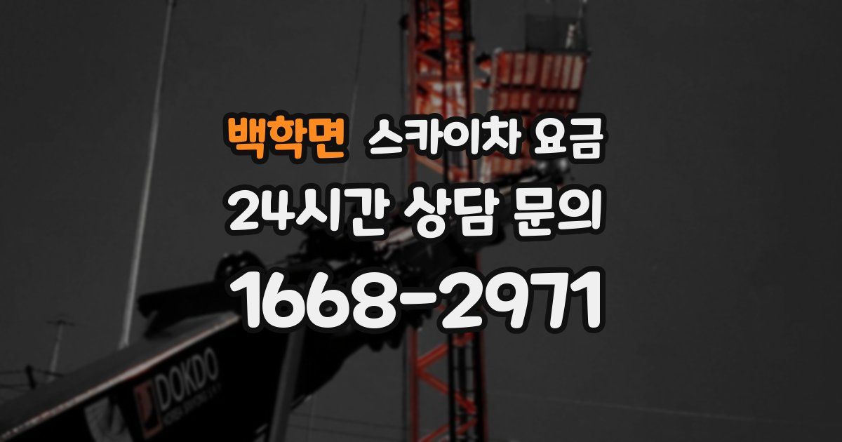 백학면 스카이차 요금