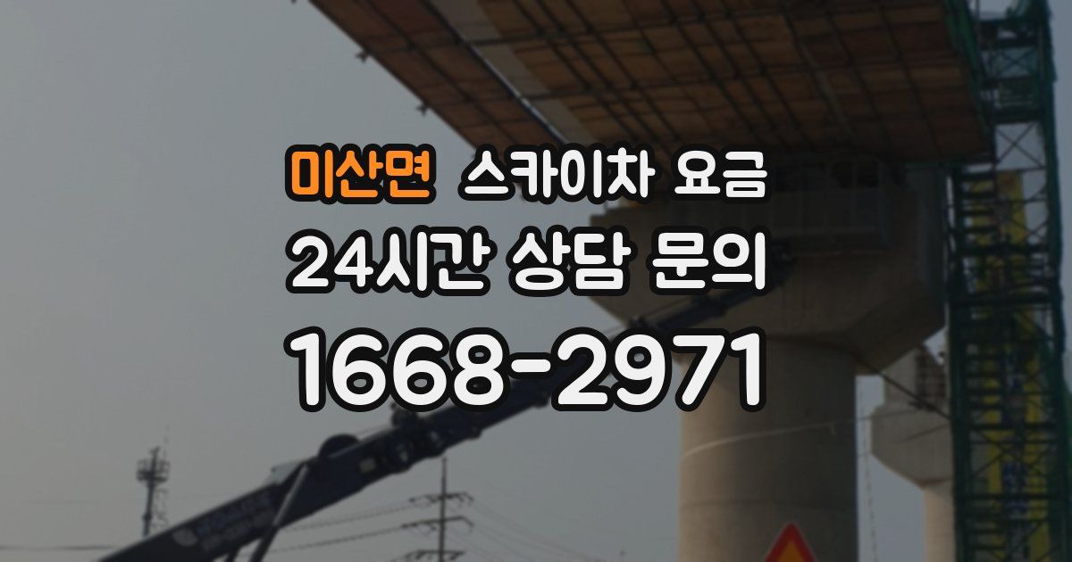 미산면 스카이차 요금