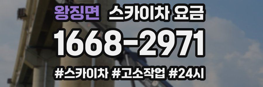 왕징면 스카이차 요금