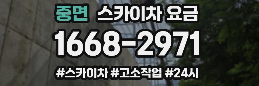 중면 스카이차 요금