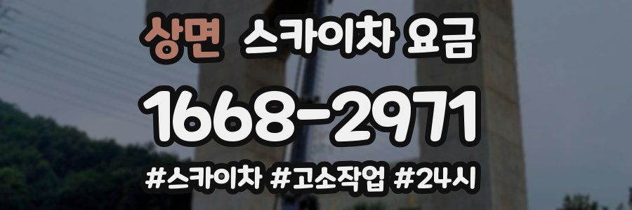 상면 스카이차 요금