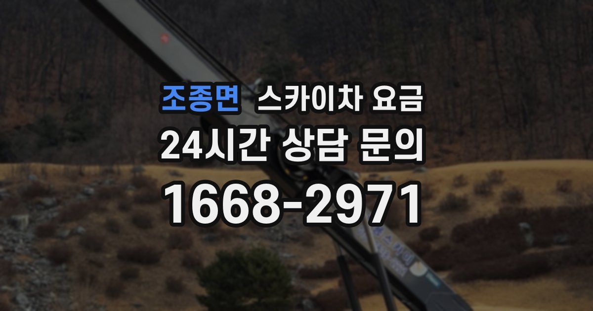 조종면 스카이차 요금