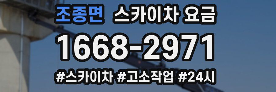 조종면 스카이차 요금