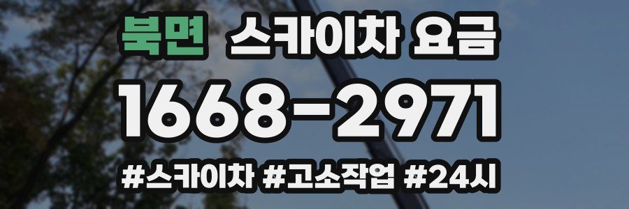 북면 스카이차 요금