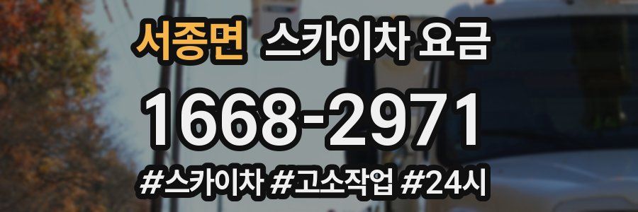 서종면 스카이차 요금