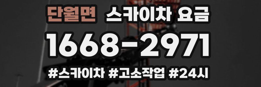 단월면 스카이차 요금