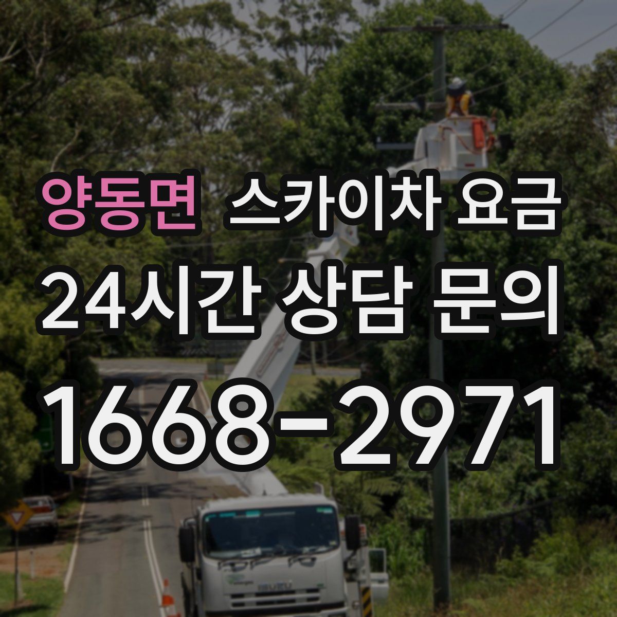 양동면 스카이차 요금