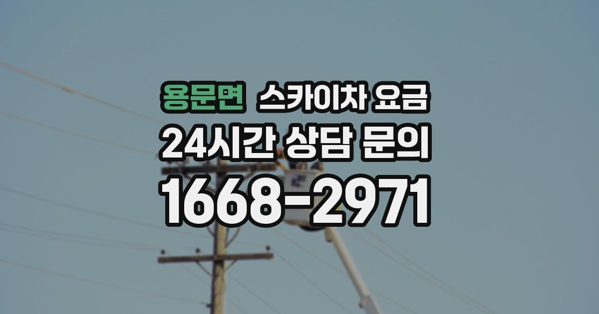 용문면 스카이차 요금