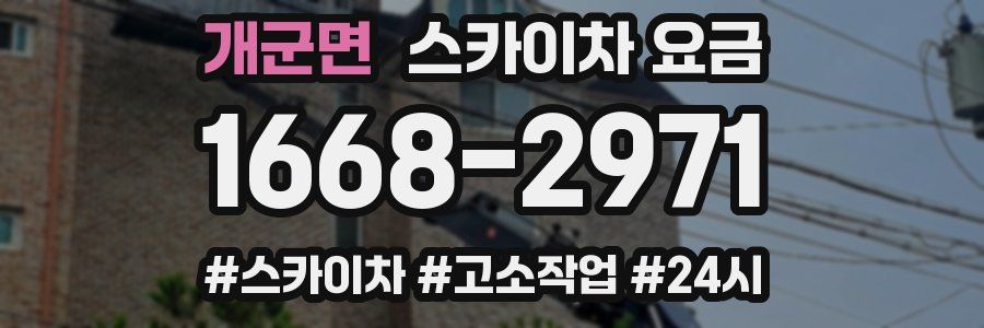 개군면 스카이차 요금