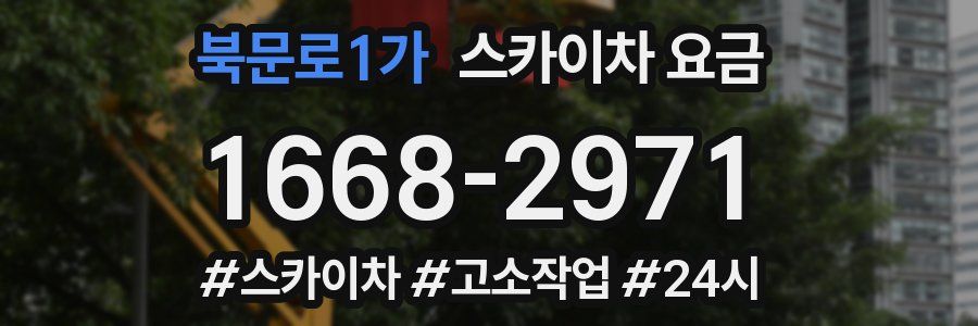 북문로1가 스카이차 요금